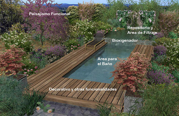 Piscina Natural